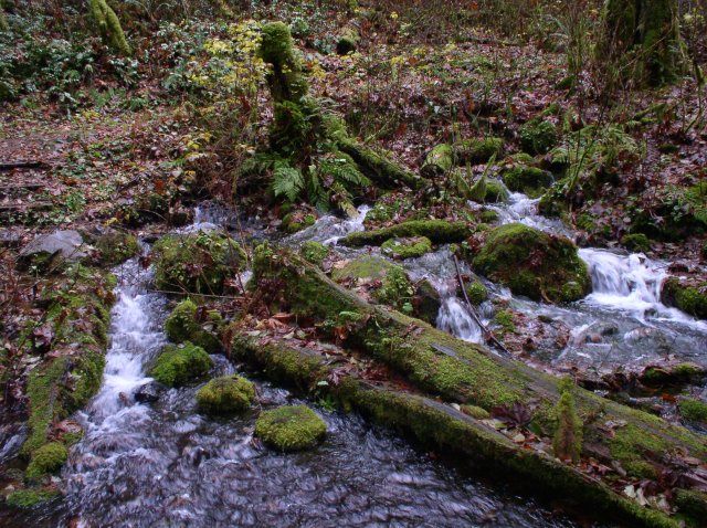 Waukeena Mult Falls 11.26.05 041 